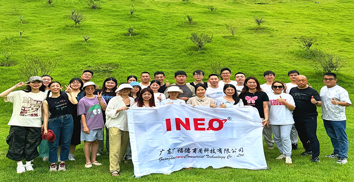 Memorable Team Building Journey for INEO team