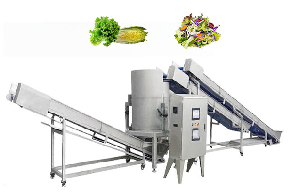 Continuous Vegetable and Fruit Dewatering Salad Processing Line